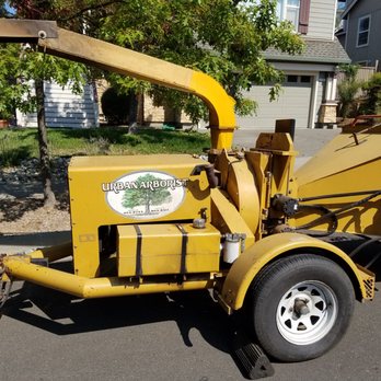 Urban Arborist - Tree Services Near Me Urban Arborist - Tree Services Near Me