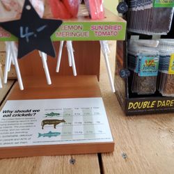 Chincoteague Island House of Jerky - Bug snacks