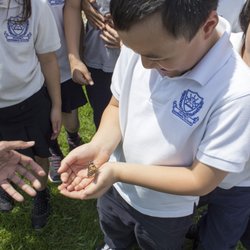 MindTech Montessori Schools - Butterfly Hatching Program