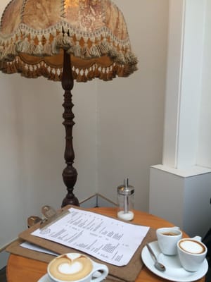 Black & Bloom by null