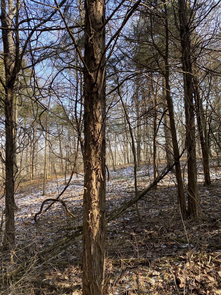 Broad Run Park Logo