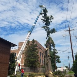 WOODPECKER TREE SERVICE - 106 Photos & 21 Reviews - Tree Services