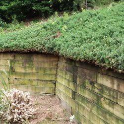 Better Care Landscaping - This is the retainer wall in my backyard and he trimmed all the Jupiter off of it and now it looks very good