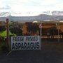Photo of Fruit Stand