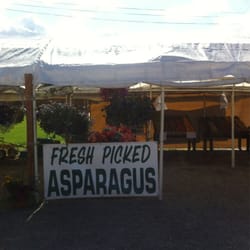 Fruit Stand
