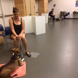 We did it! No visual barriers on the last day as we sit in a "down/stay" position in view of other dogs. We did it! No visual barriers on the last day as we sit in a "down/stay" position in view of other dogs.