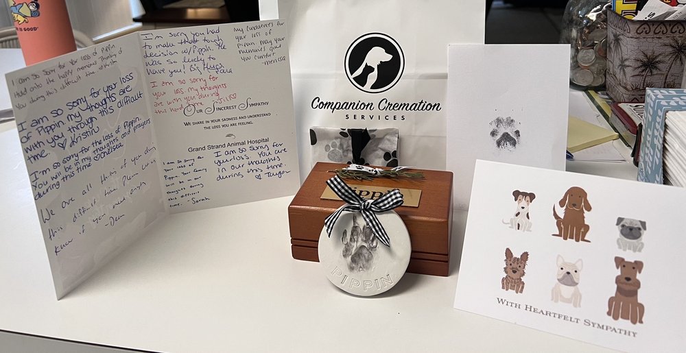 GRAND STRAND ANIMAL HOSPITAL Updated September 2024 Myrtle Beach, South Carolina