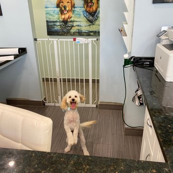 Prosperity Animal Clinic - Veterinarians Near Me - North Palm Beach, Florida Prosperity Animal Clinic - Veterinarians Near Me - North Palm Beach, Florida