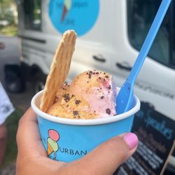 The Urban Cone - Living Single - strawberry ice cream, graham cracker dust and waffle cone cookie