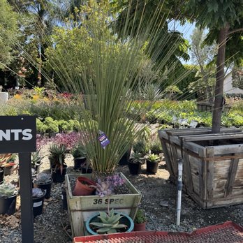 Moon Valley Nurseries - Landscaping Near Me - Torrance, California