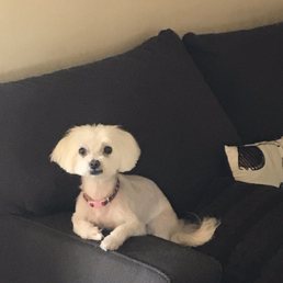 Summer haircut! Summer haircut!