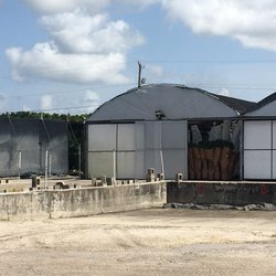 Allied Growers - Nursery visit