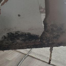 Some of the mold on the main level. They had an expert inspect but said everything was fine. Had to force them to look again Some of the mold on the main level. They had an expert inspect but said everything was fine. Had to force them to look again