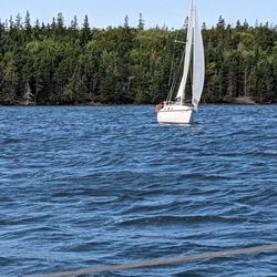 Cape Breton Sailing Charters - View of another sailboat from our boat.