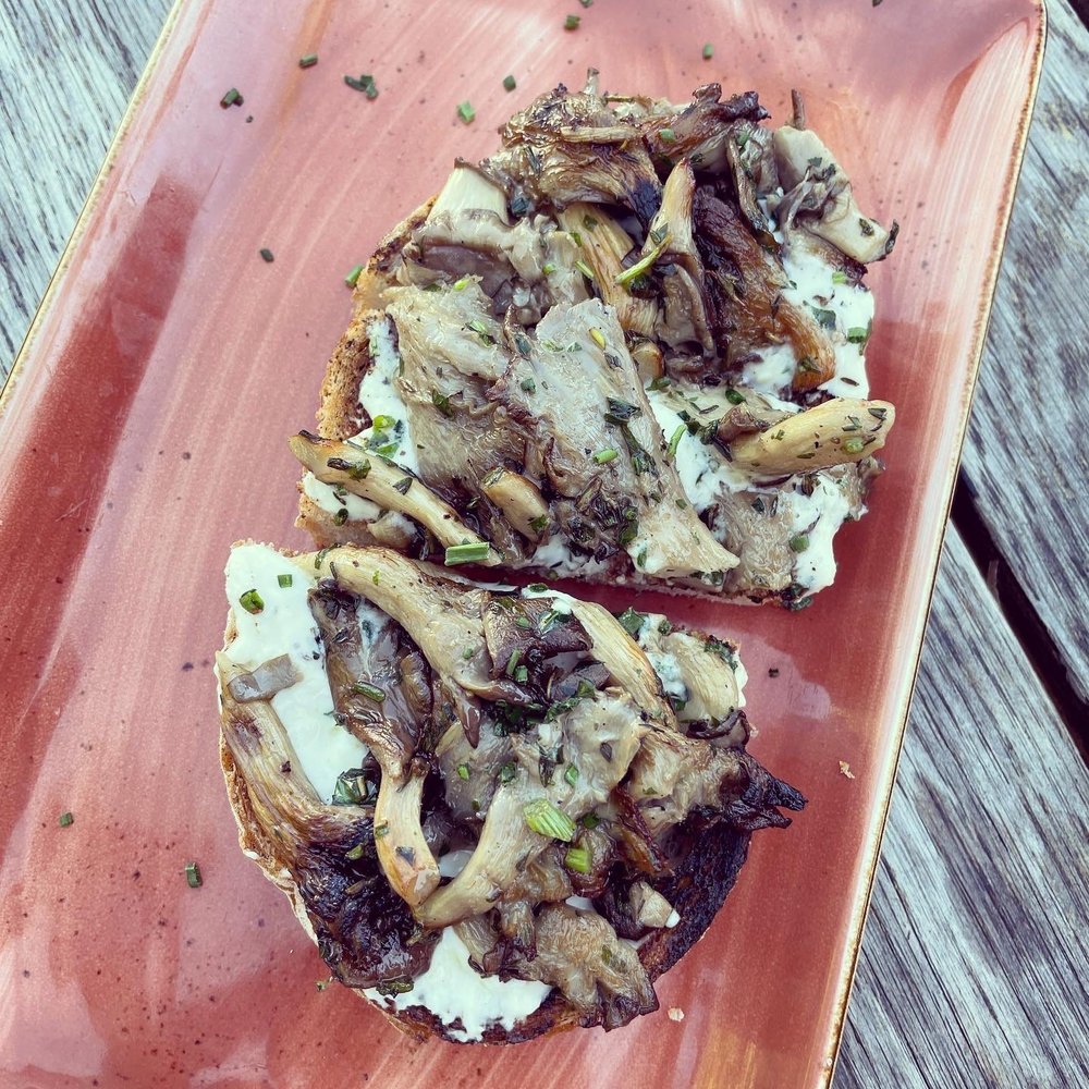Gypsy Kitchen - Roasted Mushrooms & Whipped Goat Cheese Toast - Spanish Near Me - Atlanta, Georgia Gypsy Kitchen - Roasted Mushrooms & Whipped Goat Cheese Toast - Spanish Near Me - Atlanta, Georgia
