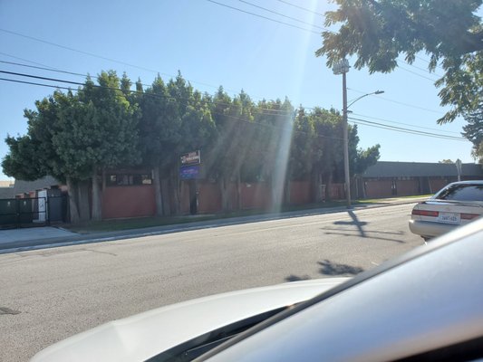 Buchser Middle School by null