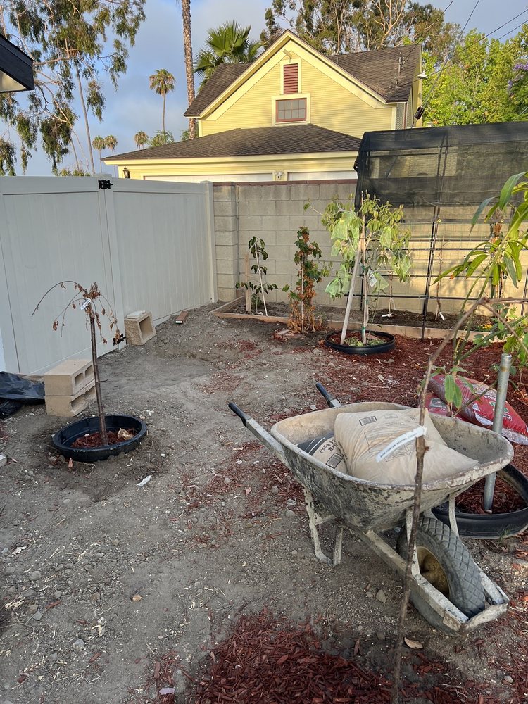 ACE LANDSCAPE CONSTRUCTION - Updated August 2024 - 246 Photos & 60 ...
