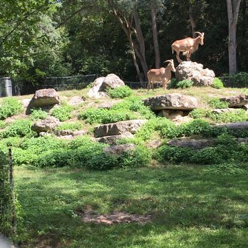 High Park Zoo - Zoos Near Me - Toronto, Ontario High Park Zoo - Zoos Near Me - Toronto, Ontario