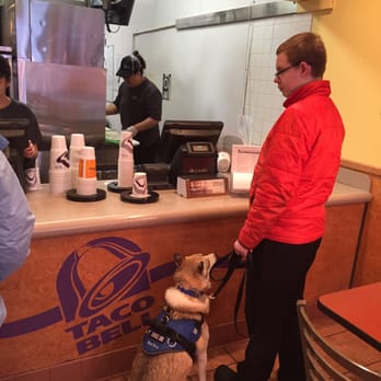 Alaska Dog Works - Pet Training Near Me - Wasilla, Alaska Alaska Dog Works - Pet Training Near Me - Wasilla, Alaska