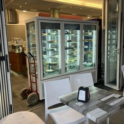 Gelateria L'aquilone - Gelateria L'Aquilone