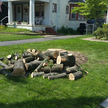 Nova Tree Service - They left us some manageable wood as we requested. - Tree Services Near Me - Collingswood, New Jersey