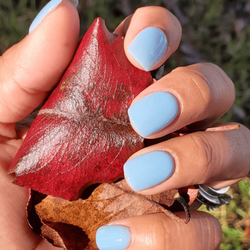 Nail Boutique & Spa - Dip powder