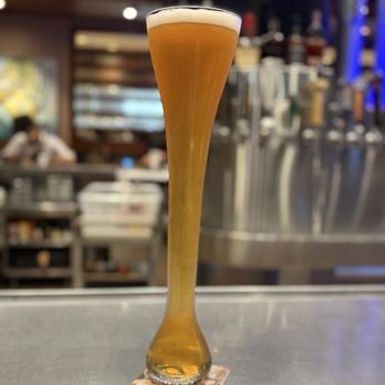 Yard House - Half Yard - New American Near Me - Riverside, California