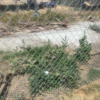Rose Garden Landscaping - I requested that weeds outside gate be removed - Landscaping Near Me Rose Garden Landscaping - I requested that weeds outside gate be removed - Landscaping Near Me