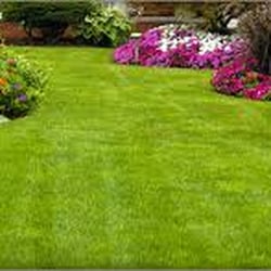OCD Lawn Care