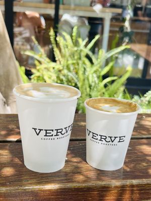 Verve Coffee Roasters by null