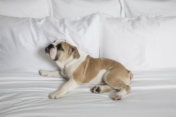 HGU New York by null