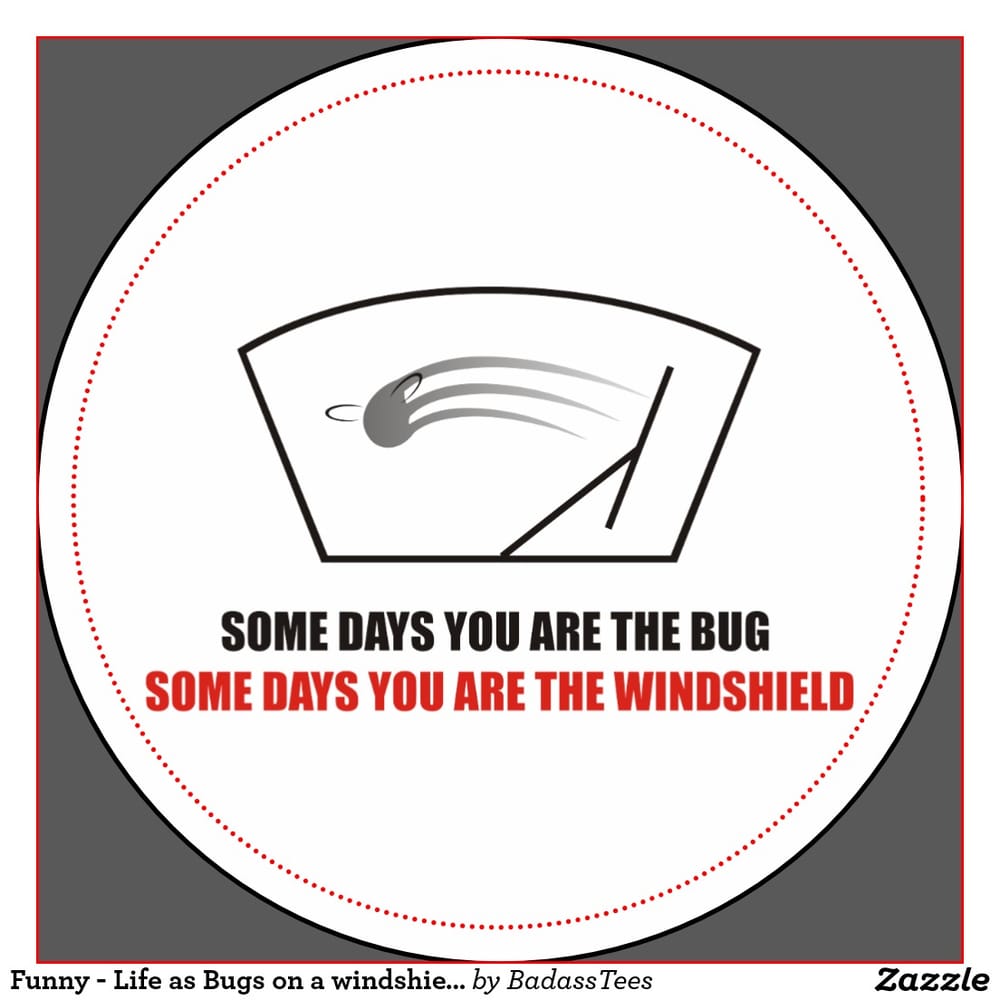 MT. BAKER AUTO GLASS Updated September 2024 21 Photos & 18 Reviews