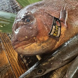 Ginya Izakaya - Handsome looking fishes from Japan. Madai, Isaki(Japanese grunt), Kamasu and Aji mackerel.