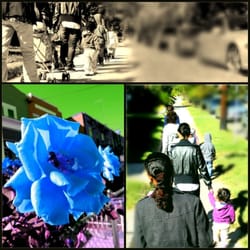 Blandi's Child Learning Center - Activity: outdoor walk