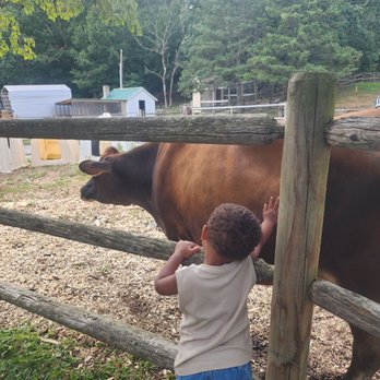 Eastleigh Farm - Ice Cream & Frozen Yogurt Near Me - Framingham, Massachusetts