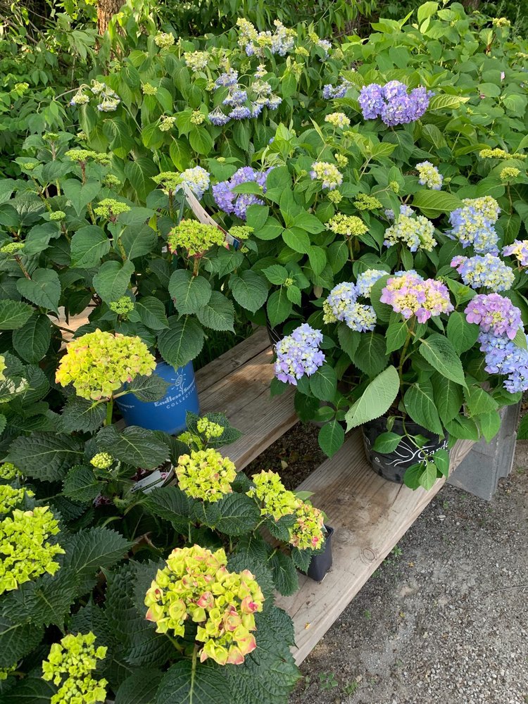 THE BEE GARDEN CENTER Updated April 2024 749 S Duchesne Dr, Saint