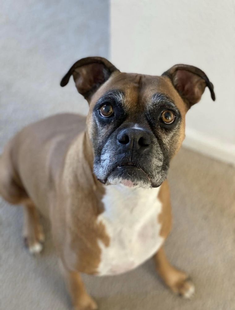 BLUEPEARL Updated September 2024 84 Photos & 300 Reviews