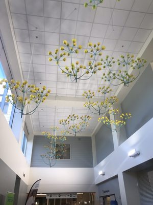 Kaiser Permanente Union City Medical Offices by null