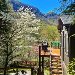 Cabin Hosts - Rock View Cabin. 1 bed/1bath, dog friendly rental in Chimney Rock