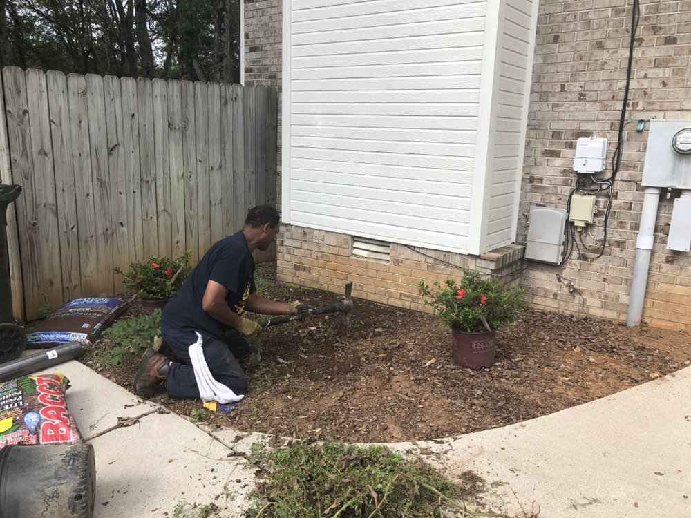 Quality Cutters - tree service in Scottsboro, AL