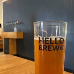 Hello Brew - Wednesday - pumpkin spice inertial ale Sugar, spice, and everything nice