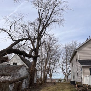 Ezekiel’s Tree’s & Landscapes - Tree Services Near Me Ezekiel’s Tree’s & Landscapes - Tree Services Near Me