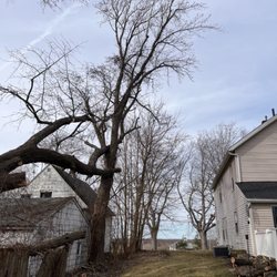 Ezekiel’s Tree’s & Landscapes