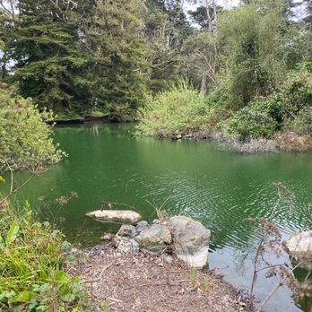 Mallard Lake - Mallard Lake - Lakes Near Me - San Francisco, California Mallard Lake - Mallard Lake - Lakes Near Me - San Francisco, California
