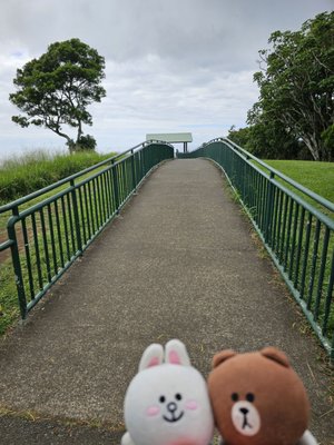 Puʻu ʻUalakaʻa State Wayside by null