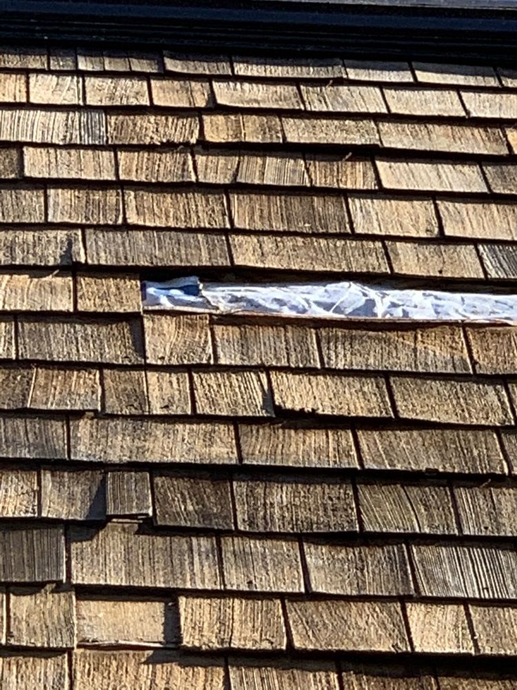 SEATTLE STEAMERS Updated July 2024 69 Photos & 36 Reviews Everett