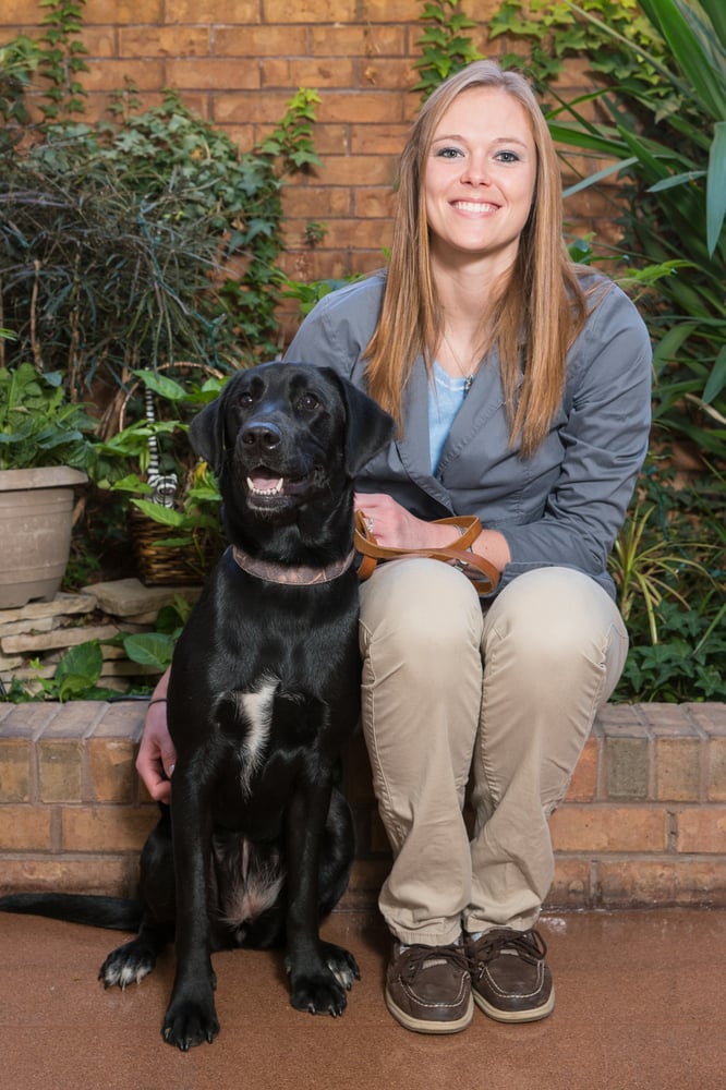 Brewer Animal Hospital - pet boarding facility in Springfield, IL