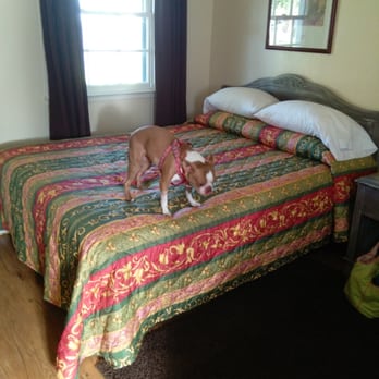 Farmhouse Paso - Yes they allow pets - Hotels Near Me - Paso Robles, California Farmhouse Paso - Yes they allow pets - Hotels Near Me - Paso Robles, California