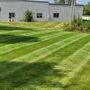 Photo of The Yard Barber