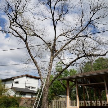 Alvaro's Landscaping and Tree Services - Tree removal - Landscaping Near Me Alvaro's Landscaping and Tree Services - Tree removal - Landscaping Near Me